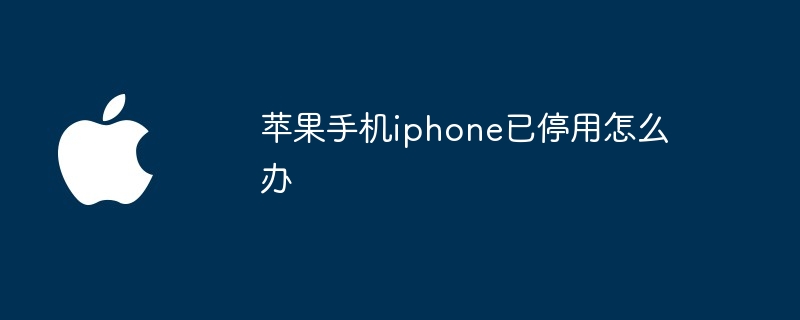 苹果手机iphone已停用怎么办