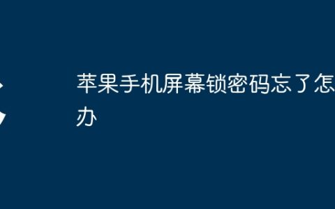 苹果手机屏幕锁密码忘了怎么办