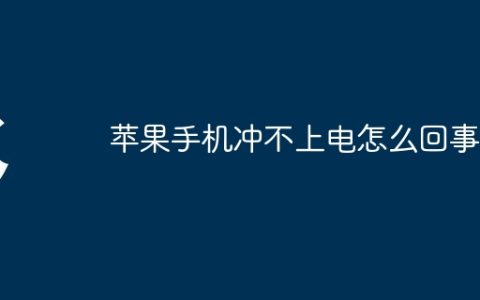 苹果手机冲不上电怎么回事