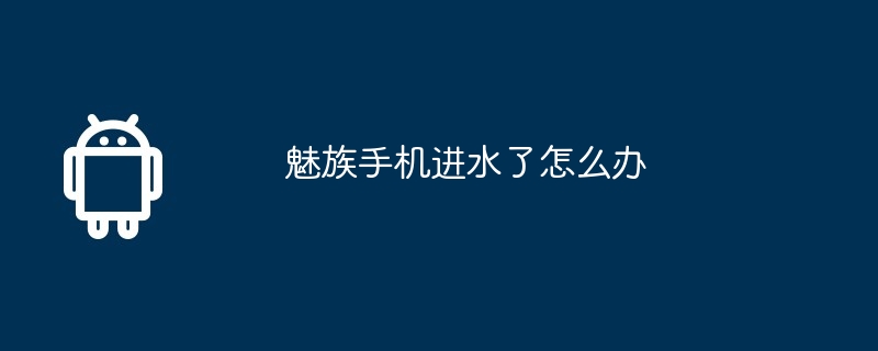 魅族手机进水了怎么办