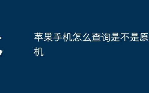 苹果手机怎么查询是不是原装机