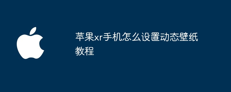 苹果xr手机怎么设置动态壁纸教程
