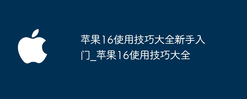 苹果16使用技巧大全新手入门_苹果16使用技巧大全