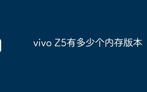 vivo Z5有多少个内存版本