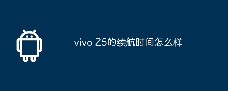 vivo Z5的续航时间怎么样