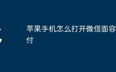 苹果手机怎么打开微信面容支付