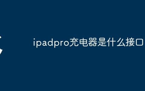 ipadpro充电器是什么接口