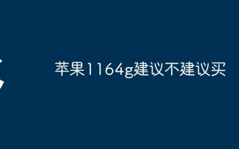 苹果1164g建议不建议买