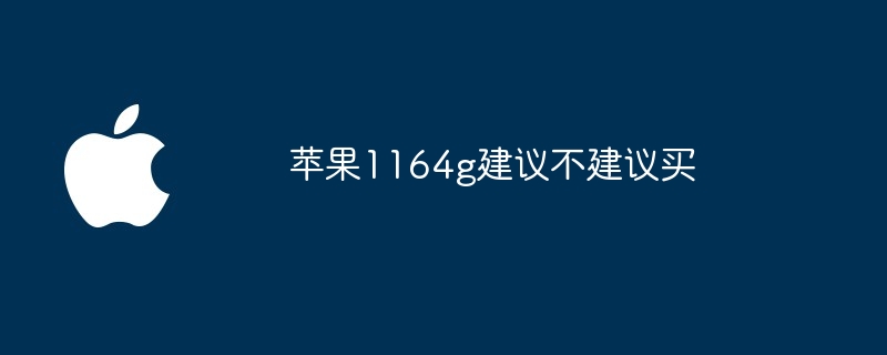 苹果1164g建议不建议买