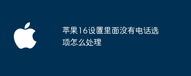 苹果16设置里面没有电话选项怎么处理