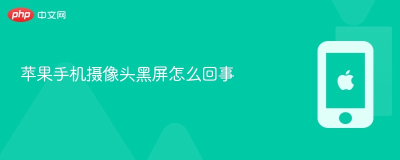 苹果手机摄像头黑屏怎么回事 - php中文网