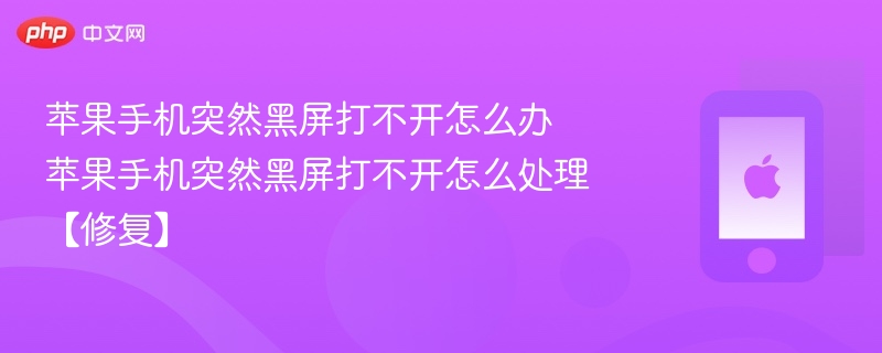 苹果手机突然黑屏打不开怎么办 苹果手机突然黑屏打不开怎么处理【修复】 - php中文网