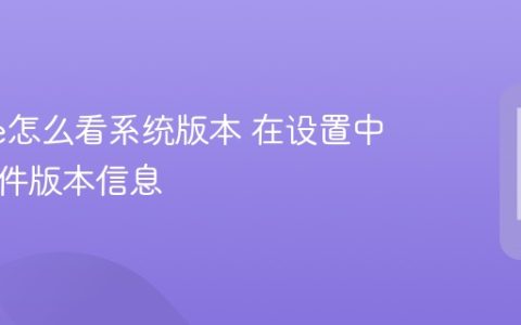 iPhone怎么看系统版本 在设置中查看软件版本信息