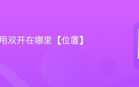 苹果应用双开在哪里【位置】