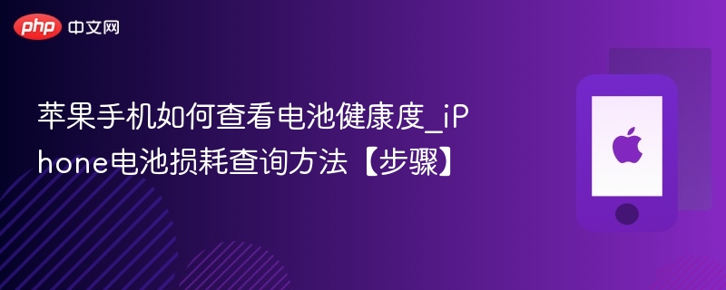苹果手机如何查看电池健康度_iphone电池损耗查询方法【步骤】 - php中文网