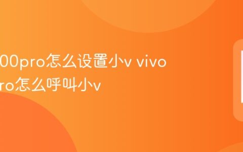 vivox300pro怎么设置小v vivox300pro怎么呼叫小v【方法】
