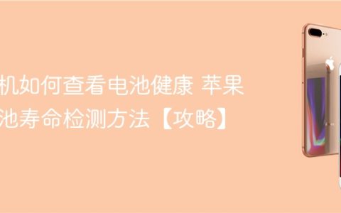苹果手机如何查看电池健康 苹果手机电池寿命检测方法【攻略】