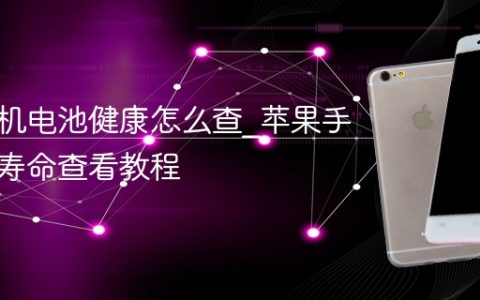 苹果手机电池健康怎么查?苹果手机电池寿命查看教程