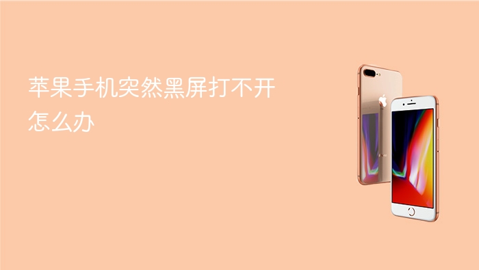 苹果手机突然黑屏打不开怎么办【解决方法汇总】 - php中文网