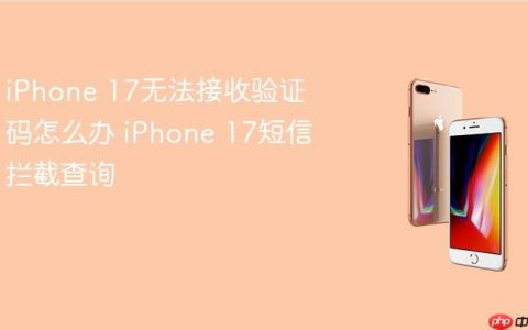 iPhone 17无法接收验证码怎么办 iPhone 17短信拦截查询