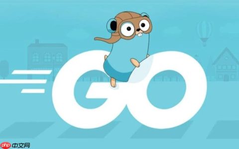 如何在 Golang 中检查字符串是否符合标准的 Base64 URL 安全编码规则