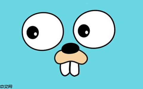 Golang 轻量级框架对比与选型建议