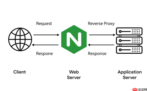 Nginx 中 Event Loop 怎么实现定时任务调度逻辑