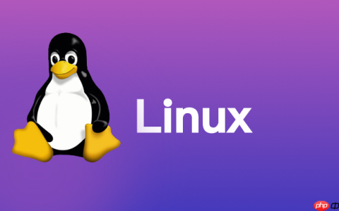 如何通过内核参数优化 Linux TCP 堆栈以提升网络吞吐