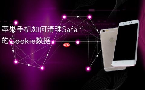苹果手机如何清理Safari的Cookie数据