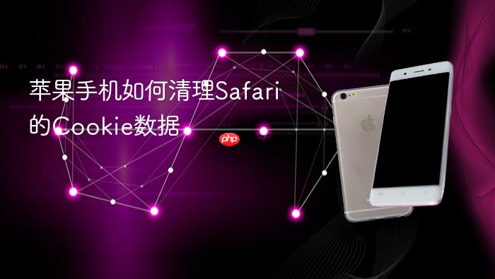 苹果手机如何清理safari的cookie数据