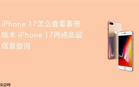 iPhone 17怎么查看基带版本 iPhone 17网络底层信息查询