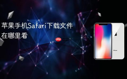 苹果手机Safari下载文件在哪里看