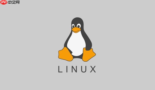 gitlab ci 怎么配置缓存加速构建流程