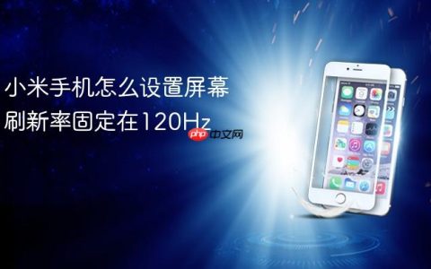 小米手机怎么设置屏幕刷新率固定在120Hz
