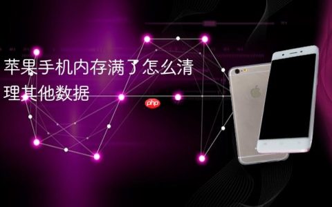 苹果手机内存满了怎么清理其他数据