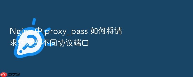 nginx 中 proxy_pass 如何将请求转发至不同协议端口