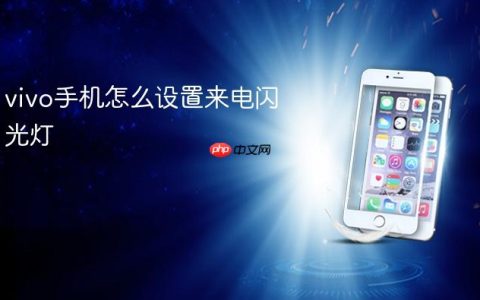 vivo手机怎么设置来电闪光灯