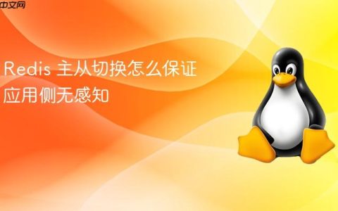 Redis 主从切换怎么保证应用侧无感知