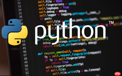 如何利用Python的fractions模块处理不丢失精度的分数运算？