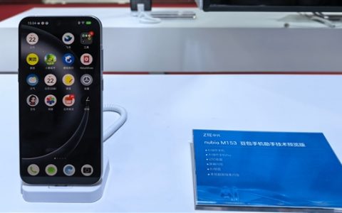 中兴把未来押给豆包？