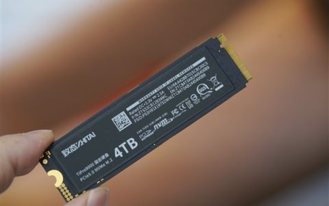 我国内存、硬盘涨疯：1T SSD涨幅132% 32G DDR5从900元涨至3800元