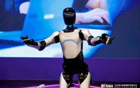 中国人形机器人横扫全球！拿下97%市场份额：智元超宇树居第一