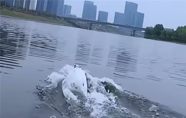 可空中飞行也能水下潜航!湖南年轻团队研发跨介质飞行器