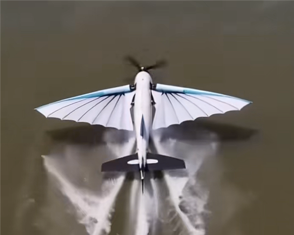 可空中飞行也能水下潜航!湖南年轻团队研发跨介质飞行器